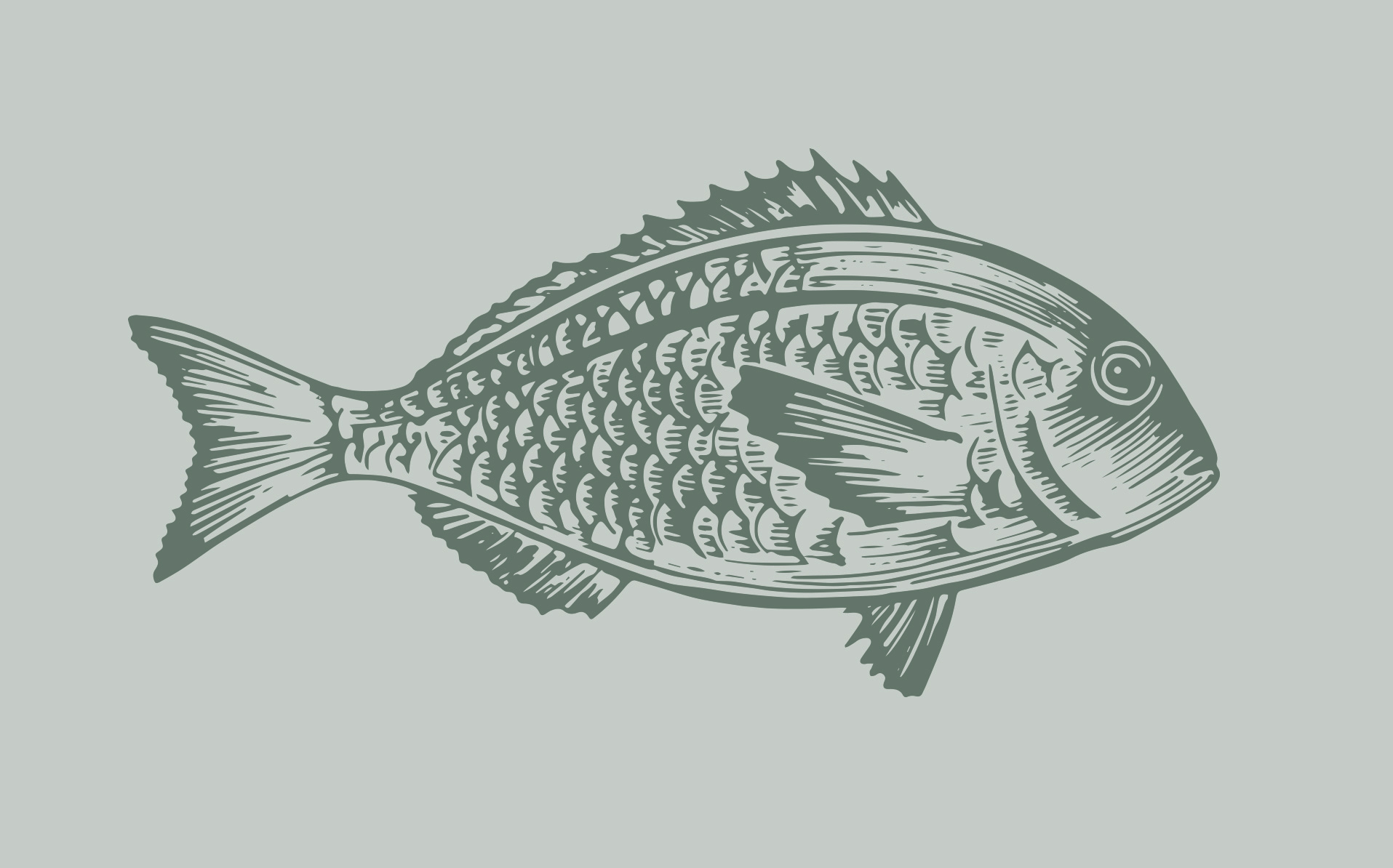 Genesis Wines fish illustration