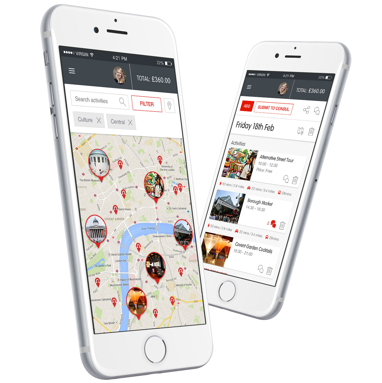 TripConsul web app design for mobile